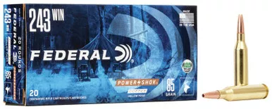 243 Win 85GR SP POWER-SHOK Copper