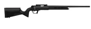 Asend .22LR 16" Black 10-rd