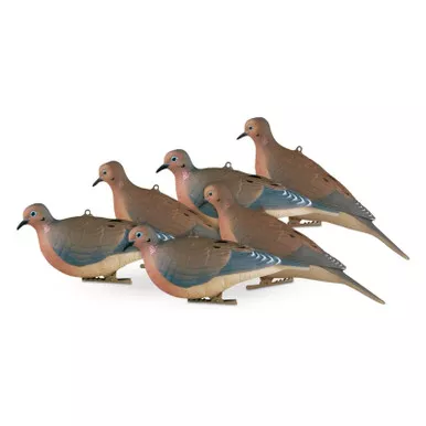 AVERY 6 Pack of Mourning Dove Decoys (72005)