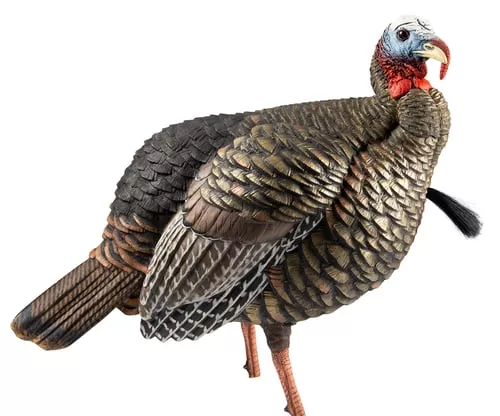 Avian-X HDR Jake Decoy