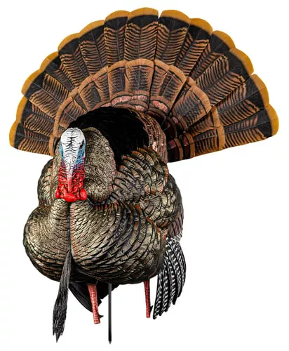 Avian-X HDR Strutter