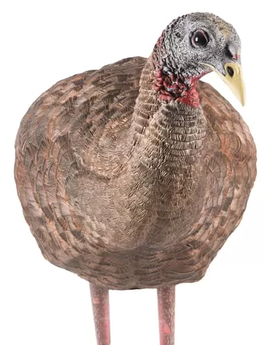 Avian-X LCD - Breeder Hen Turkey Decoy