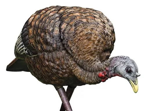 Avian-X LCD - Feeder Hen Turkey Decoy