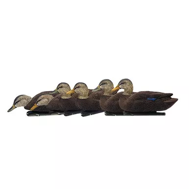 Avian-X Topflight Black Duck Decoys 6-Pack