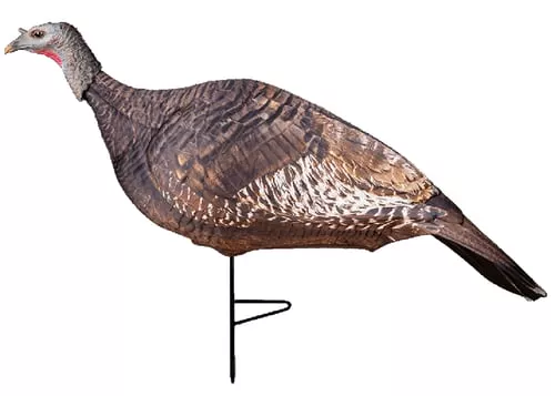 PRIMOS PHOTOFORM HEN TKY DECOY