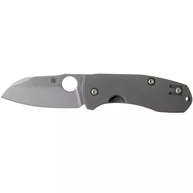 SPYDERCO Techno 2 2.55in Folding Knife (C158TIP2)